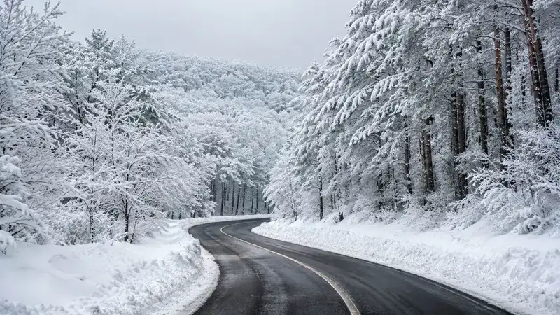 濟州 1100 高地冬季積雪