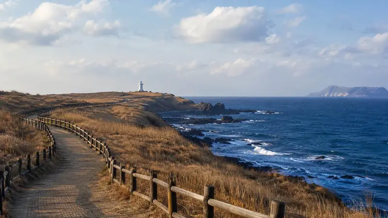 濟州涉地可支冬季海岸步道