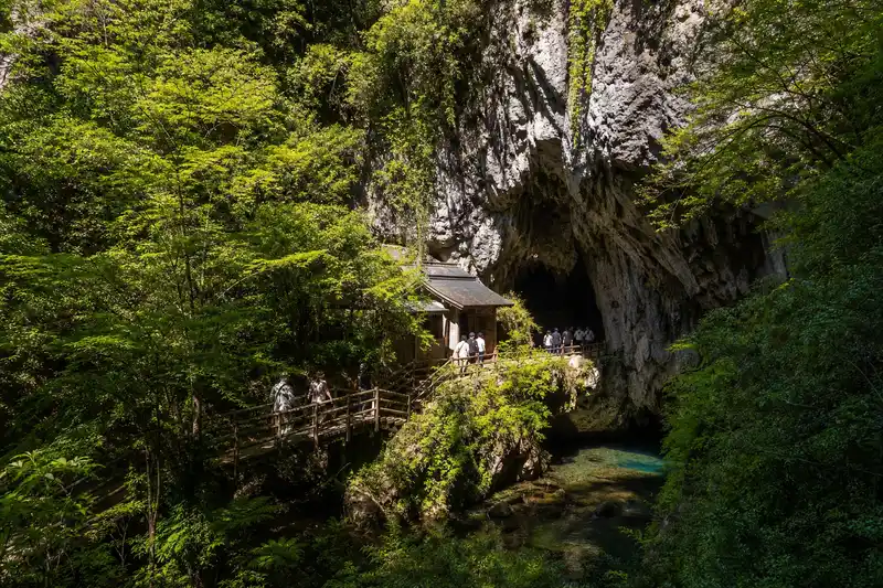 龍河洞入口森林步道