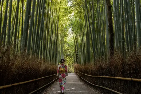 京都嵐山一日遊