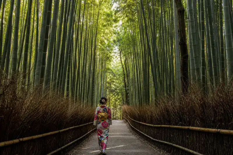 嵐山渡月橋與竹林經典風景