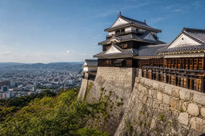 松山城天守俯瞰市區