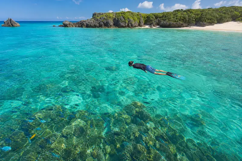 新城海岸浮潛熱帶魚