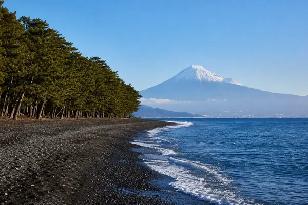 清水富士山一日遊
